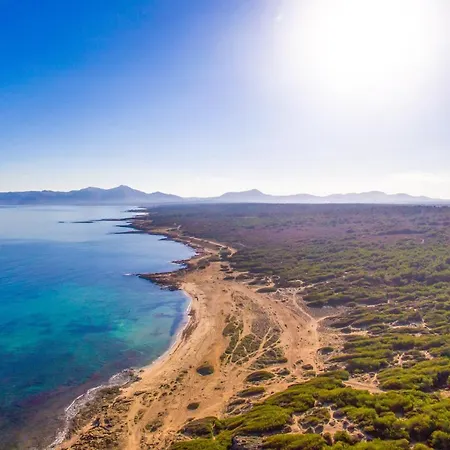 Country house Ideal Mallorca - Puig D'en Guardiola